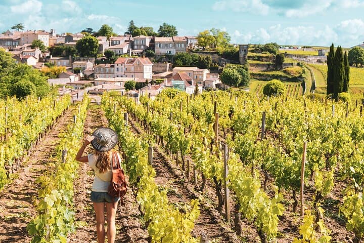 Saint-Émilion & Pomerol Wein Tour