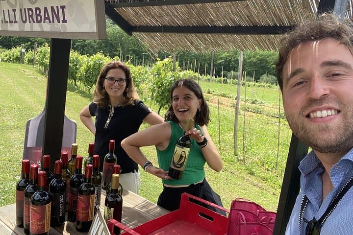 Dégustation dans un vignoble toscan avec transfert depuis Pise — photo 4