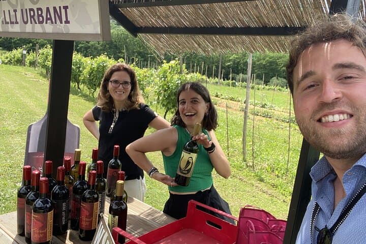 Cata en un viñedo toscano con traslado desde Pisa — foto 4