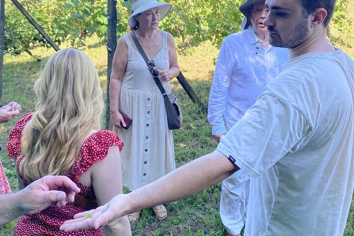 Cata en un viñedo toscano con traslado desde Pisa — foto 5