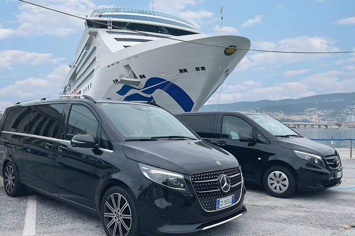 Privater Transfer von Venedig zum Kreuzfahrtterminal Porto Corsini in Ravenna