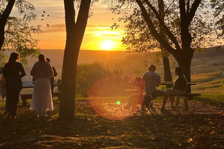 Escursione di un giorno in Toscana da Roma con degustazione di vini e pranzo tradizionale — foto 2