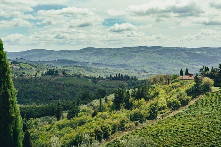 Chianti Wein Tour für kleine Gruppen: 3 Familienweingüter & Mittagessen — Foto 2