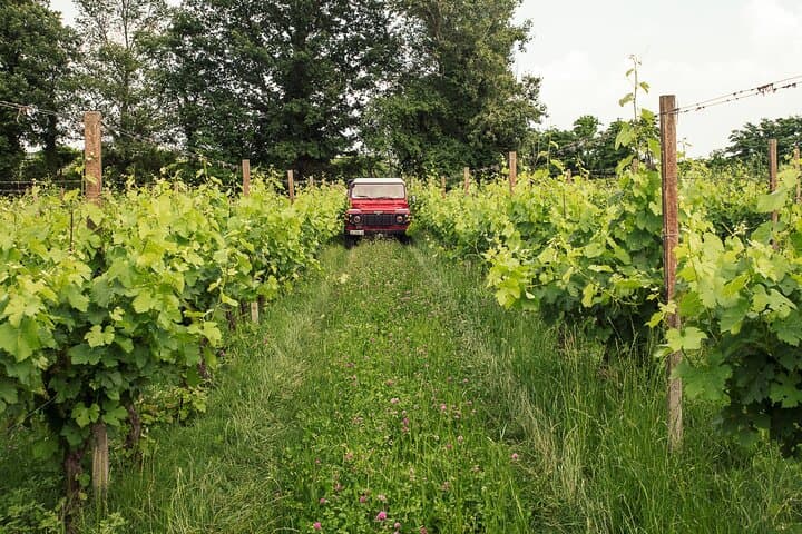 Tour en 4x4 por viñedos y cata de vinos cerca del Lago de Garda — foto 5
