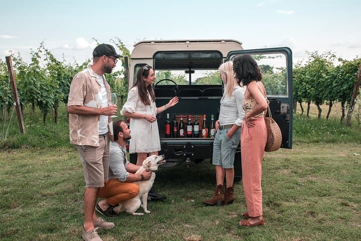 Tour en 4x4 por viñedos y cata de vinos cerca del Lago de Garda