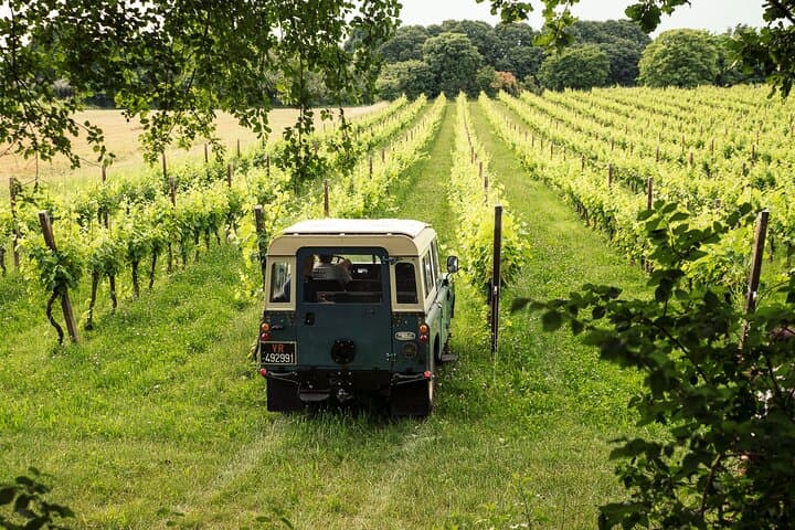 Tour in 4x4 tra i vigneti e degustazione di vini vicino al Lago di Garda — foto 4