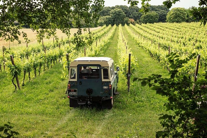 Tour en 4x4 por viñedos y cata de vinos cerca del Lago de Garda — foto 4