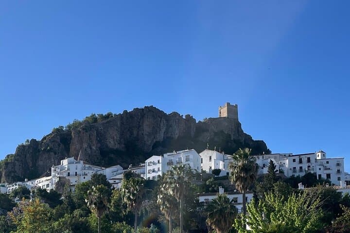 Excursion d'une journée dans les Villages Blancs et Ronda au départ de Séville — photo 3