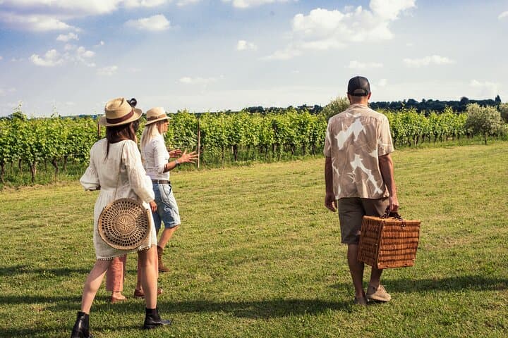 Picknick im Weinberg mit Weinprobe — Foto 2
