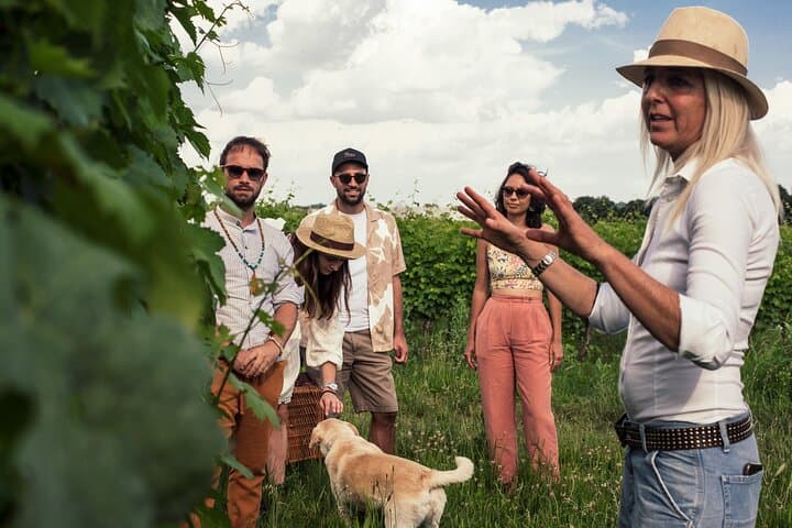 Weinbergführung und Verkostung von 6 Garda-Weinen mit Giovanna Tantini