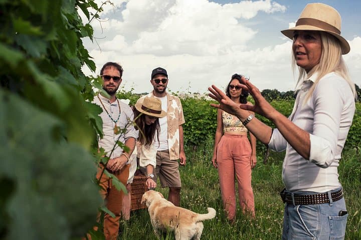 Picknick im Weinberg mit Weinprobe — Foto 4