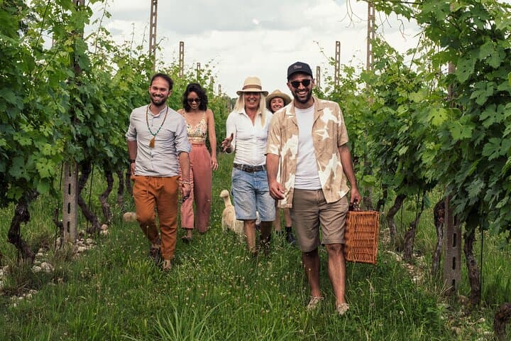 Picknick im Weinberg mit Weinprobe — Foto 3