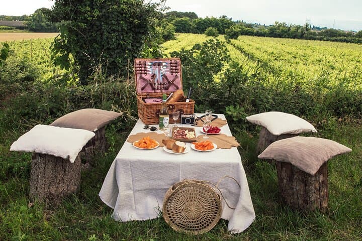 Picknick im Weinberg mit Weinprobe — Foto 5