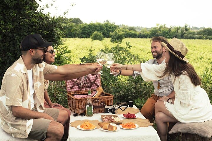 Pique-nique dans le vignoble avec dégustation de vin