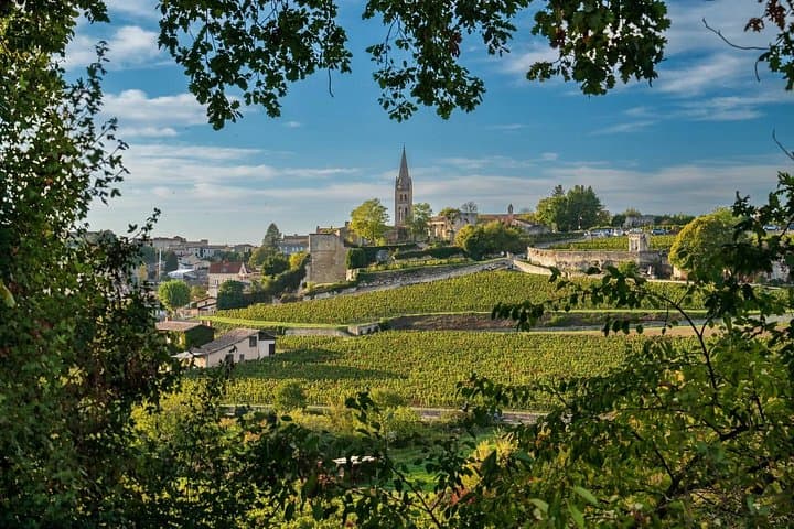 Private Weinreise durch Saint-Émilion & Médoc — Foto 3