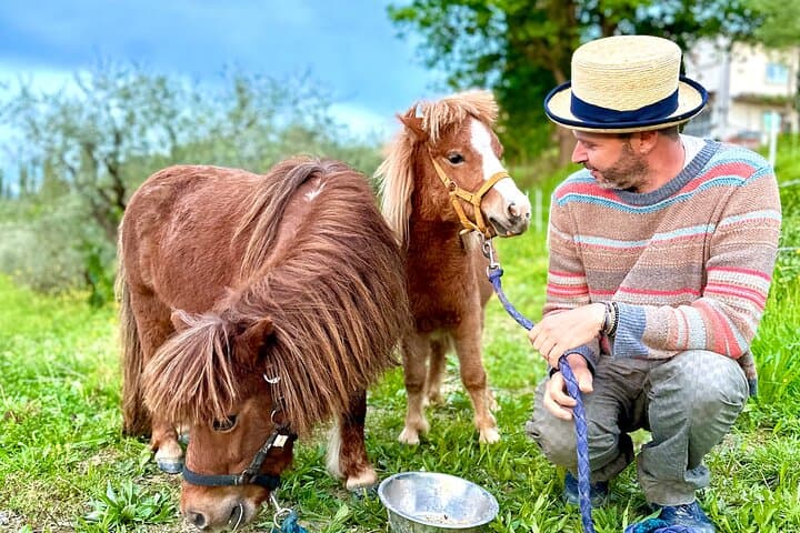 Mein toskanischer Bauernhof - Wein, Pasta & Weinberg an einem Tag