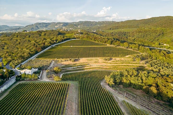 Die geführte Tour und Verkostung im Amarone Chateau in Valpolicella — Foto 2