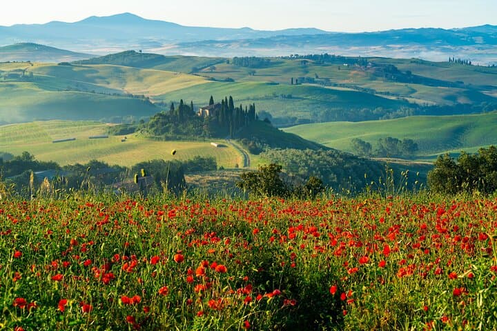Tuscany &amp; Montepulciano Day Trip from Rome — photo 1