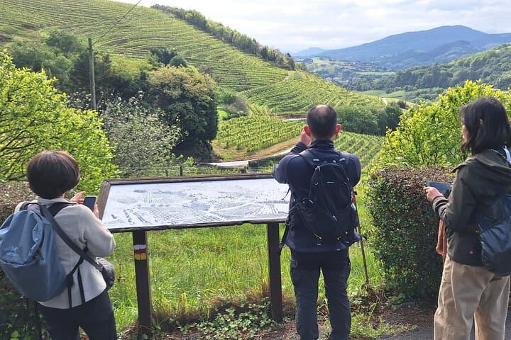 Escursione lungo il Camino de Santiago tra i vigneti da San Sebastian