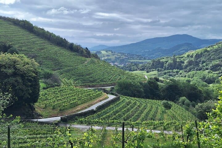 Escursione lungo il Camino de Santiago tra i vigneti da San Sebastian — foto 4