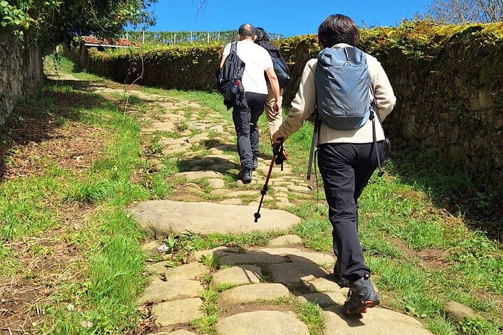Escursione lungo il Camino de Santiago tra i vigneti da San Sebastian — foto 2