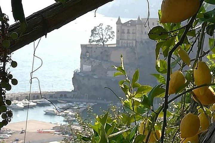 Randonnée Partagée sur le Sentier des Citrons — photo 3