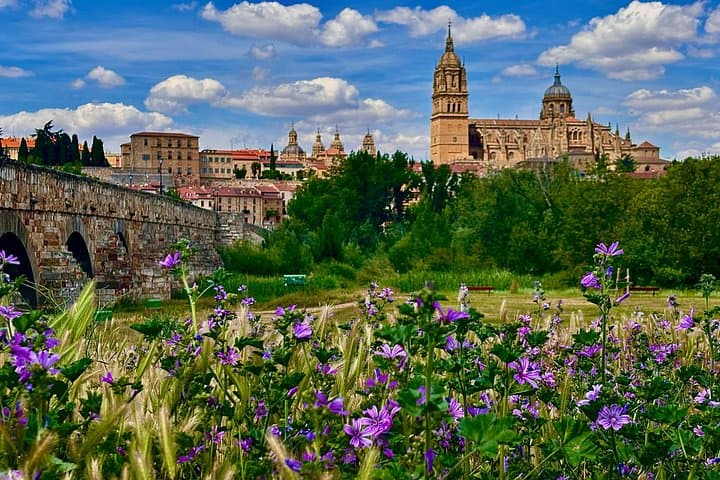 Tour storico di Avila e Salamanca da Madrid — foto 3