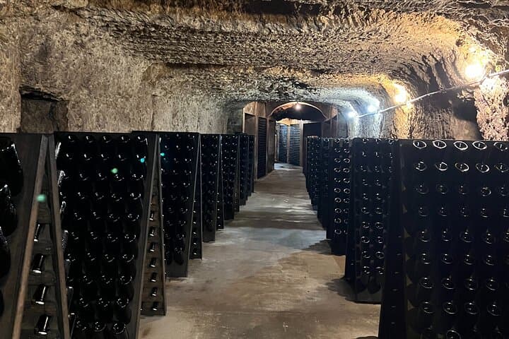 Giornata del Vino nella Valle della Loira da Parigi con Castello di Chambord e 6 Degustazioni — foto 3