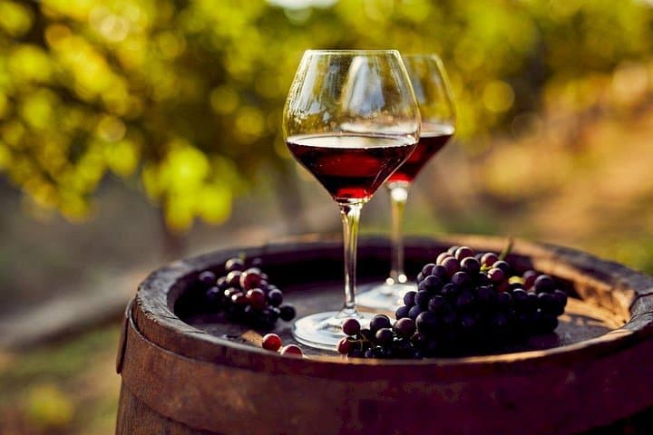 Visite Privée des Vins de Gaillac - Demi-journée au départ de Toulouse — photo 5