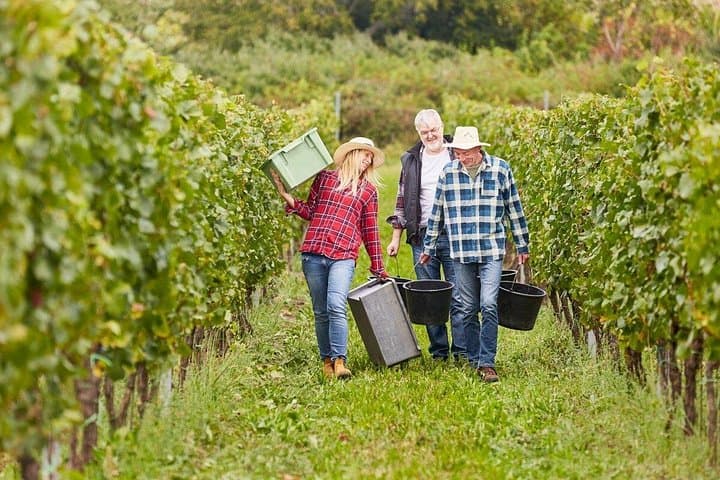 Visite Privée des Vins de Gaillac - Demi-journée au départ de Toulouse — photo 4