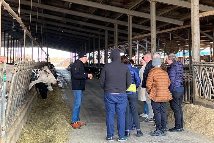 Tour di Parmigiano, Aceto Balsamico e Ferrari in Emilia Romagna — foto 4
