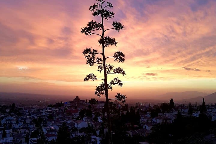 Granada: Tour Guidato a Piedi "Street Art e Le Grotte" — foto 3