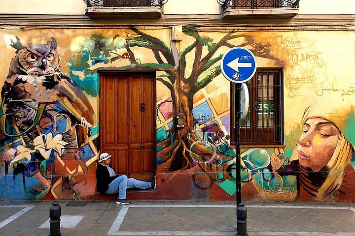 Granada: Tour Guidato a Piedi "Street Art e Le Grotte"