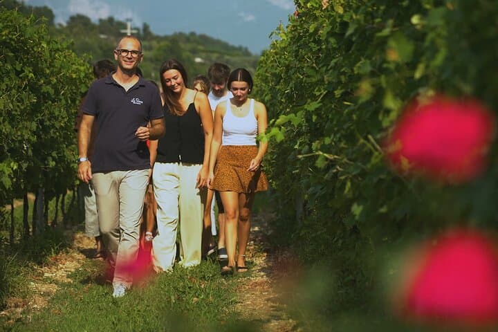 Bardolino: Weinberg-Tour, Wein-, Öl- und Essensverkostung — Foto 3