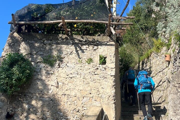 Tour del Sentiero dei Limoni con Sessione di Degustazione e Trasferimento da Amalfi — foto 3