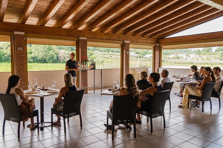 Bardolino: Weinberg-Tour, Wein-, Öl- und Essensverkostung — Foto 2