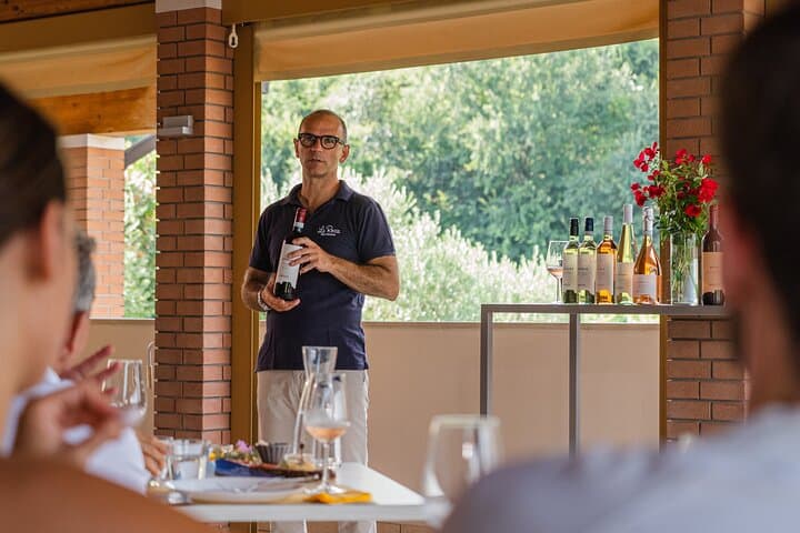 Bardolino: Weinberg-Tour, Wein-, Öl- und Essensverkostung