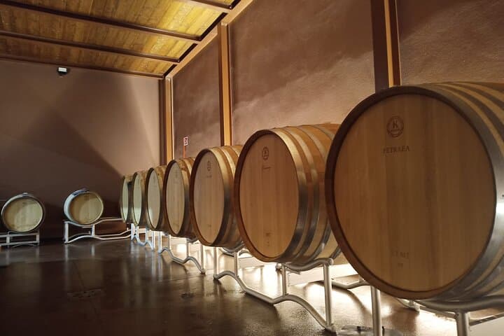Volterra Organic Wine Experience