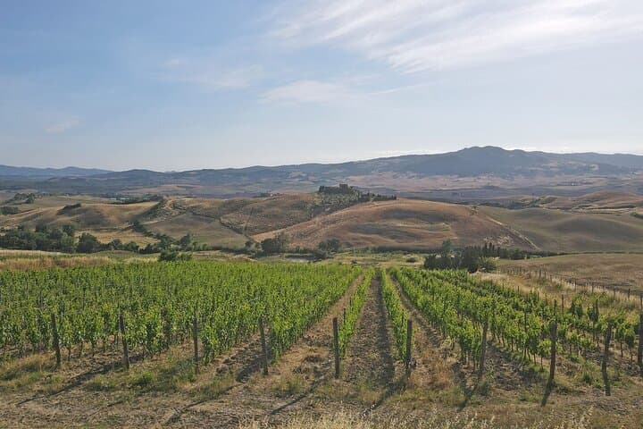 Volterra Organic Wine Experience — Foto 3