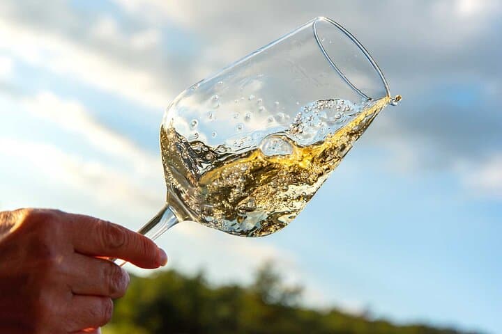 Volterra Organic Wine Experience — Foto 2