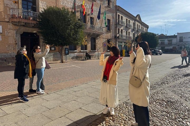 Tour dei Mulini e del Castello di Consuegra da Madrid — foto 3
