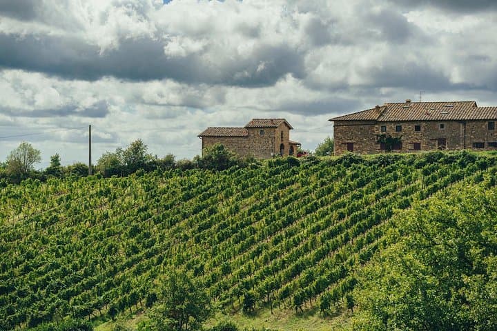 Chianti Wein Tour für kleine Gruppen: 3 Familienweingüter & Mittagessen — Foto 5