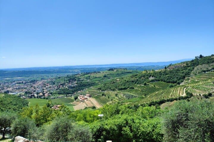 Una Domenica di Tour del Vino Amarone in Valpolicella
