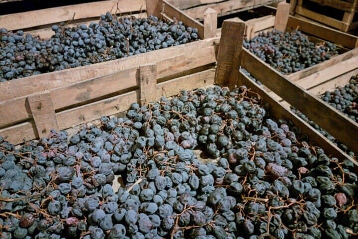 Una Domenica di Tour del Vino Amarone in Valpolicella — foto 5