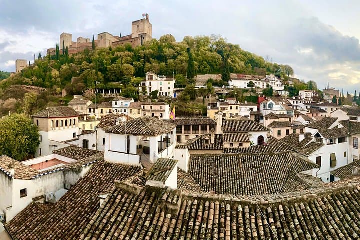 Tour Privato dell'Alhambra di Granada con Biglietti Inclusi — foto 2