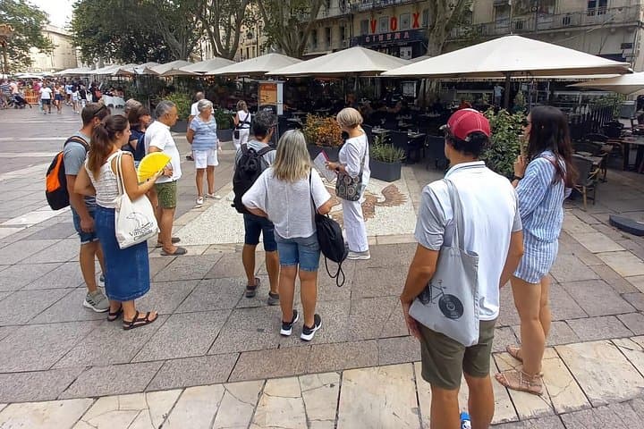 Tour a Piedi Storico ad Avignone — foto 5