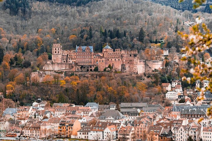 Tour di Heidelberg e Mannheim da Francoforte — foto 5