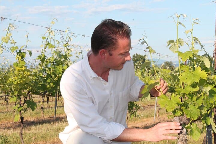 Goût de Provence - Vin et Paysages autour d'Aix-en-Provence