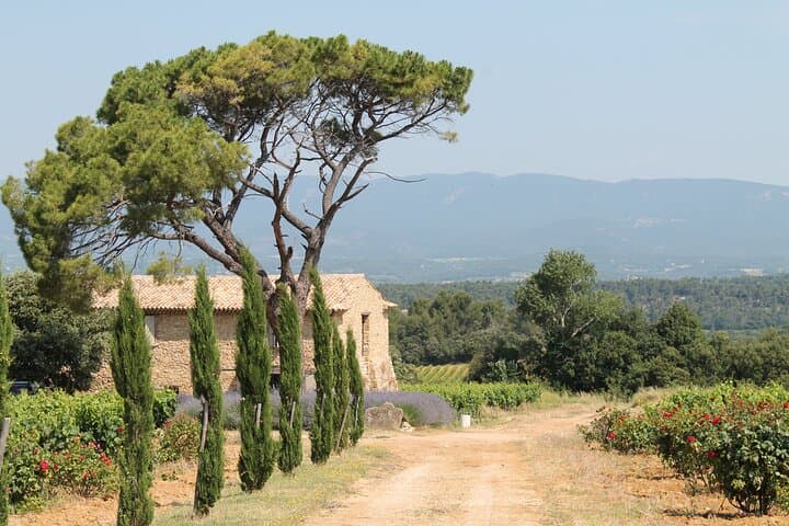 Goût de Provence - Vin et Paysages autour d'Aix-en-Provence — photo 2