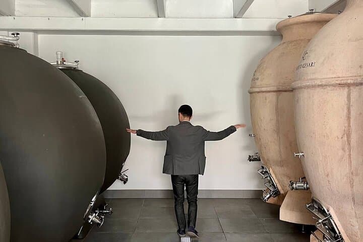 EXPERIENCIA DEL VINO Y DOZZA - Tour Privado de un Día desde Bolonia — foto 4